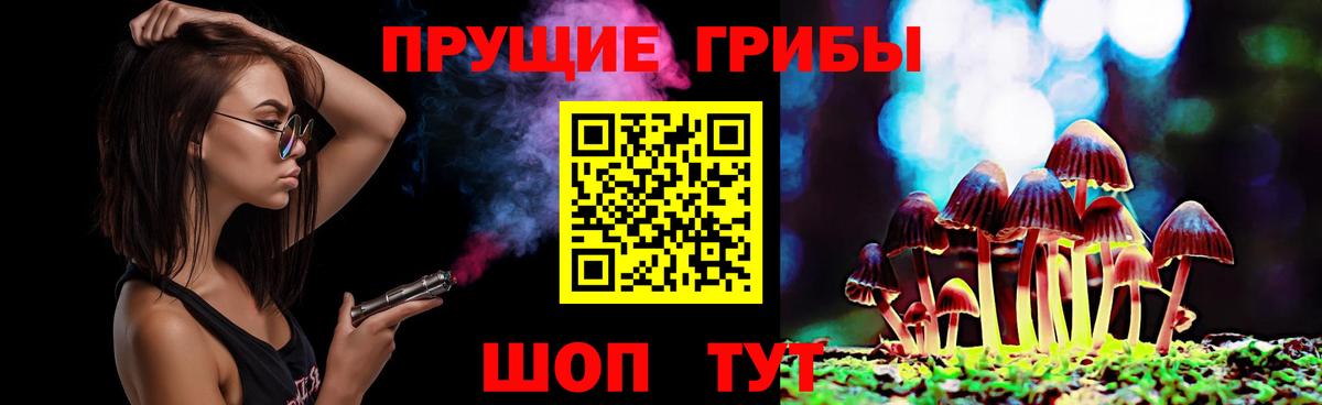 Псилоцибиновые грибы Psilocybine cubensis Лысьва